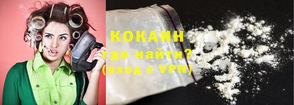 индика Михайловск