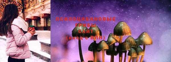 индика Михайлов