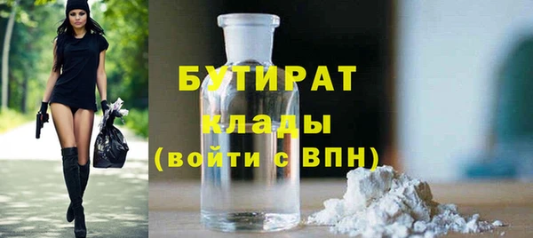 индика Михайловск