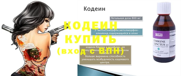 индика Михайлов