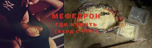 индика Михайлов