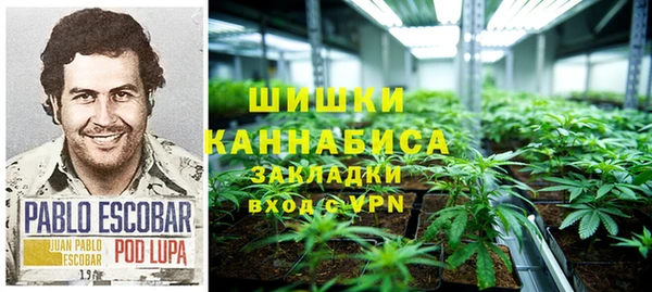 индика Михайловск