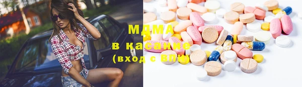 индика Михайловск