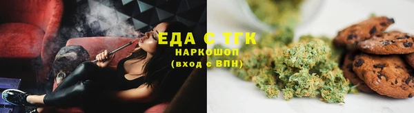 индика Михайловск