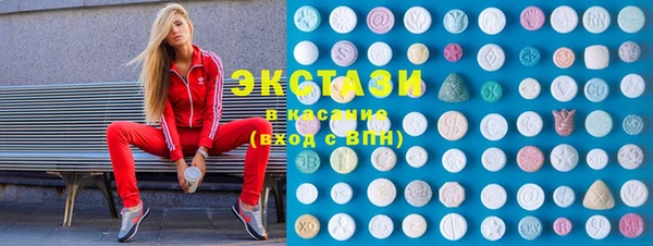 индика Михайловск