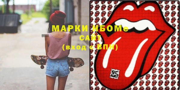 индика Михайлов