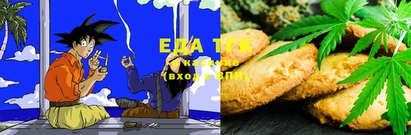 индика Михайлов