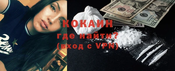 индика Михайловск