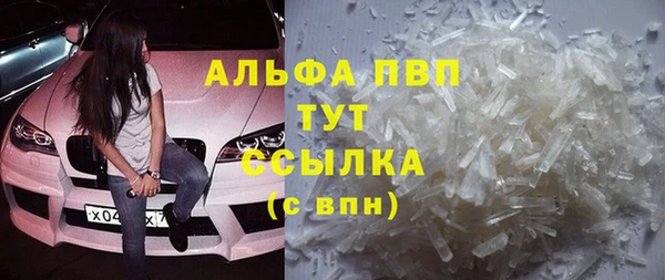 индика Михайловск
