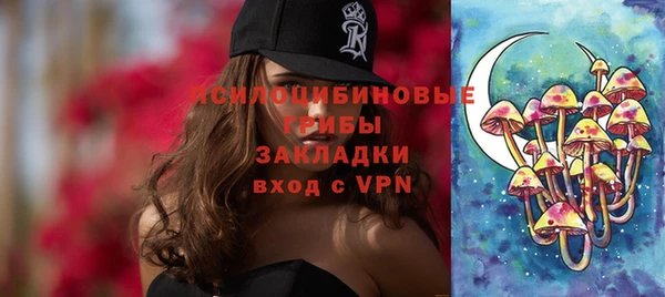 индика Михайловск