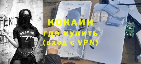 индика Михайлов