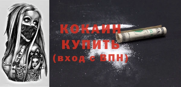 индика Михайлов