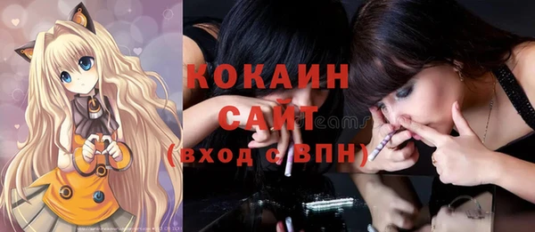 индика Михайловск