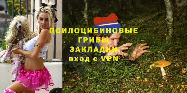 индика Михайлов