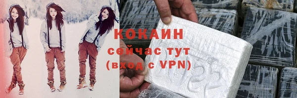индика Михайловск