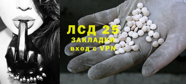 индика Михайловск