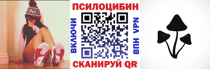 Купить где  Кондрово  Псилоцибиновые грибы Psilocybe 